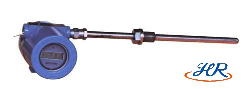 帶溫(wēn)度變送(song)器熱電(diàn)阻